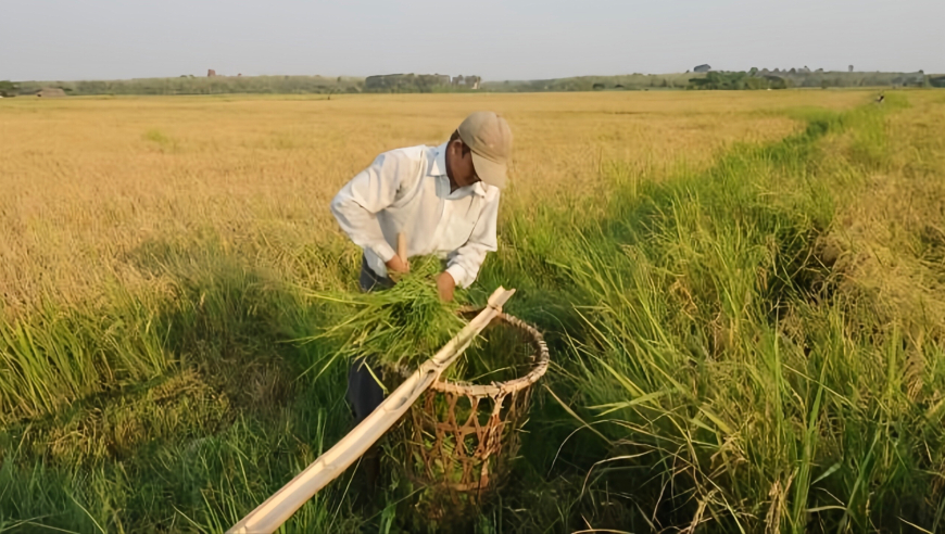 王中王心水王中王资料图库,泽连斯基称将与特朗普举行会谈,权威独家讨论与热门话题_手机版V10.54